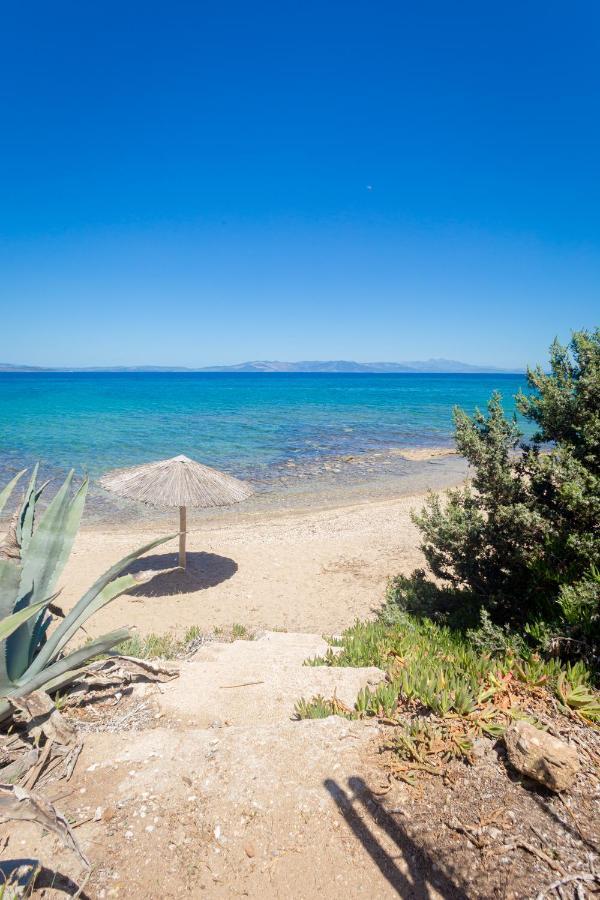"Nirvana Seaside" By The Beach Nea Makri Exterior photo